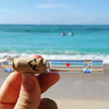 Canada Puffin Pipa Assaggio Northern Lights