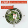 Ongrok Decarboxylation Kit - Insomnia Smoke