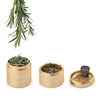 Ongrok Premium 4 Piece EZ Grinder - Insomnia Smoke
