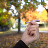 Ongrok Taster Bat Aluminum One Hitter - Insomnia Smoke