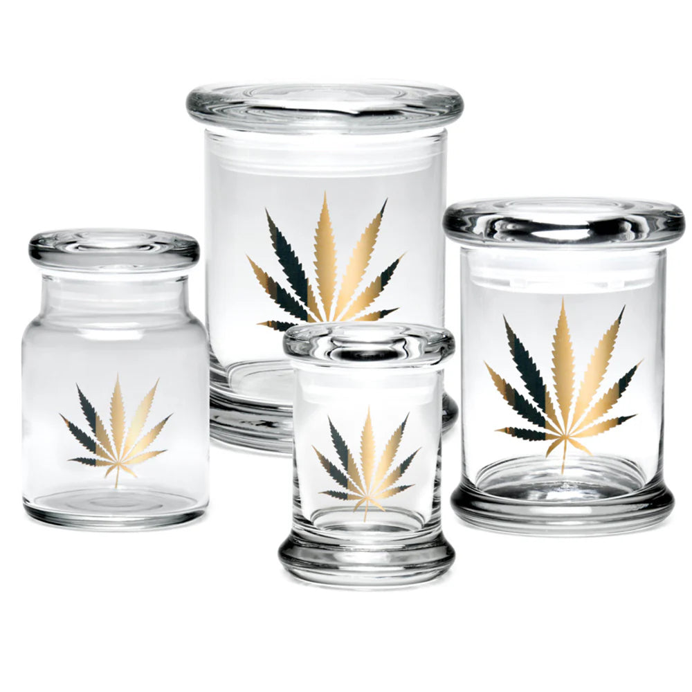 420 Science Pop Top Glass Jar Gold Leaf - Insomnia Smoke