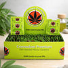 Cannadom Premium Cannabis Kondomer