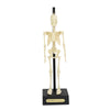 Funtime Gifts Anatomical Skeleton