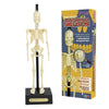 Funtime Gifts Anatomical Skeleton